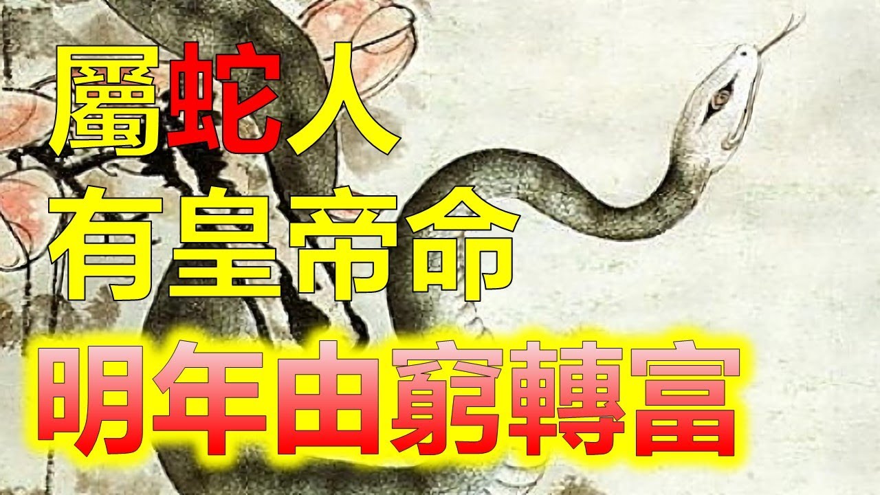 洗字扫一生肖：解密古老民俗的现代解读与文化传承