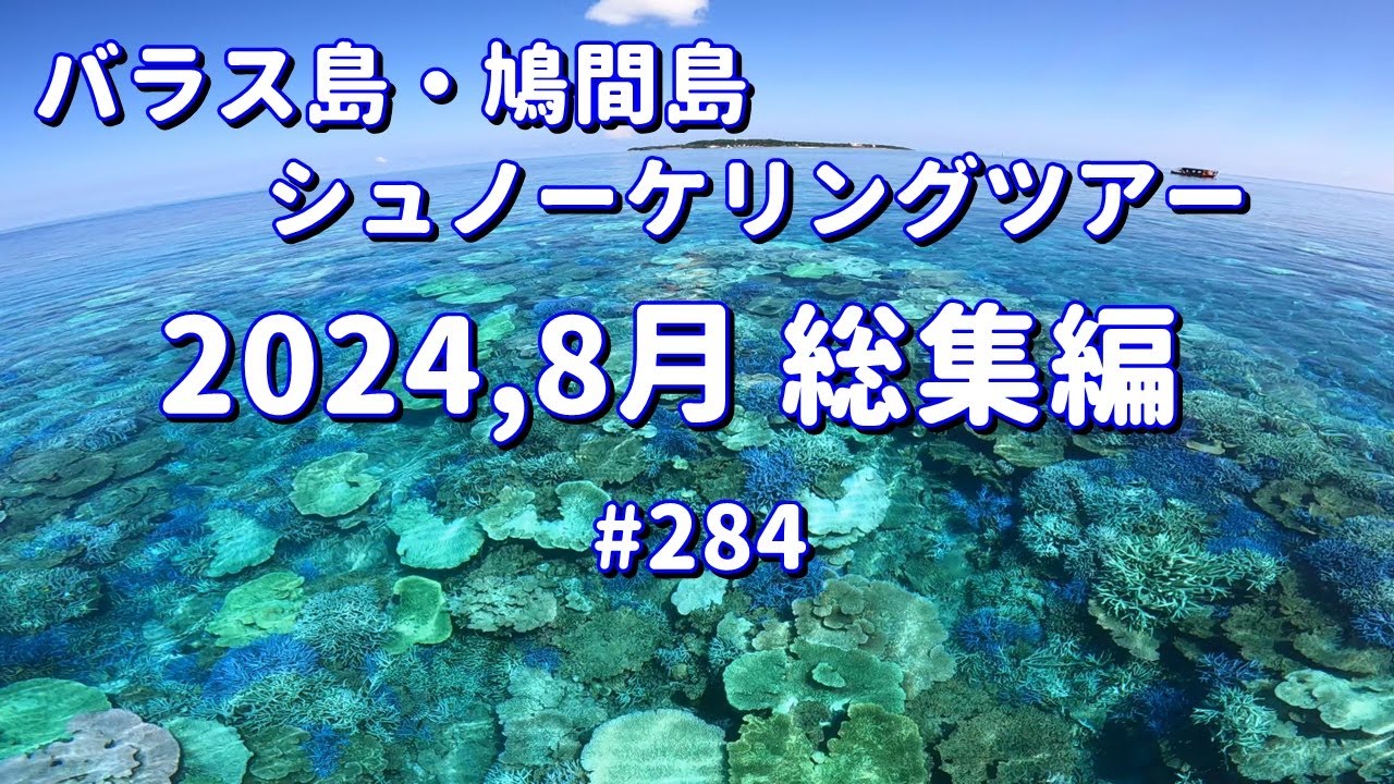 新澳泄密2025：新澳泄密门天天开好彩事件深度解析及未来展望