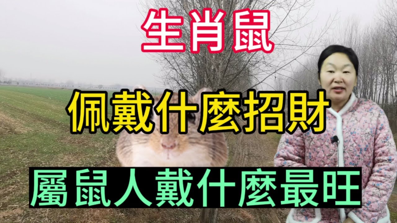 12生肖一子鼠：深入解读鼠年的文化象征、性格特点及现代意义