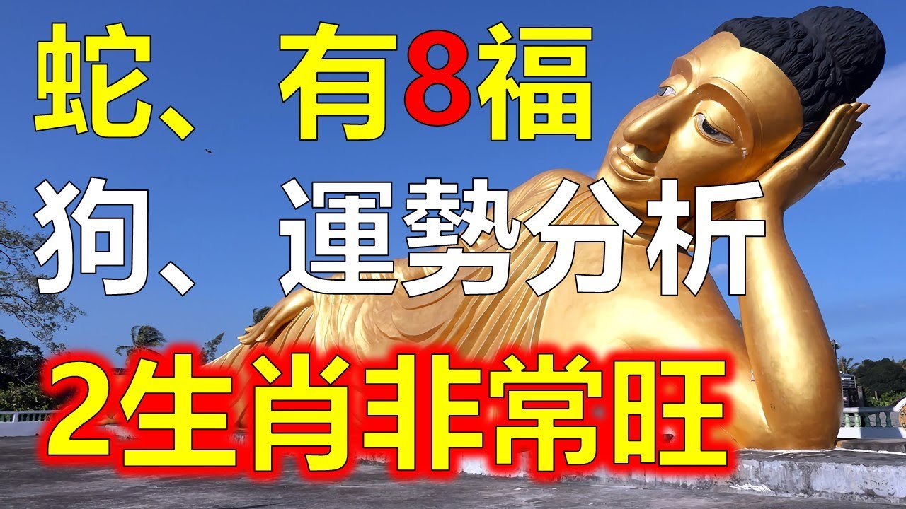 投币猜一生肖：古老游戏的新解读，探秘其文化内涵、风险及未来发展