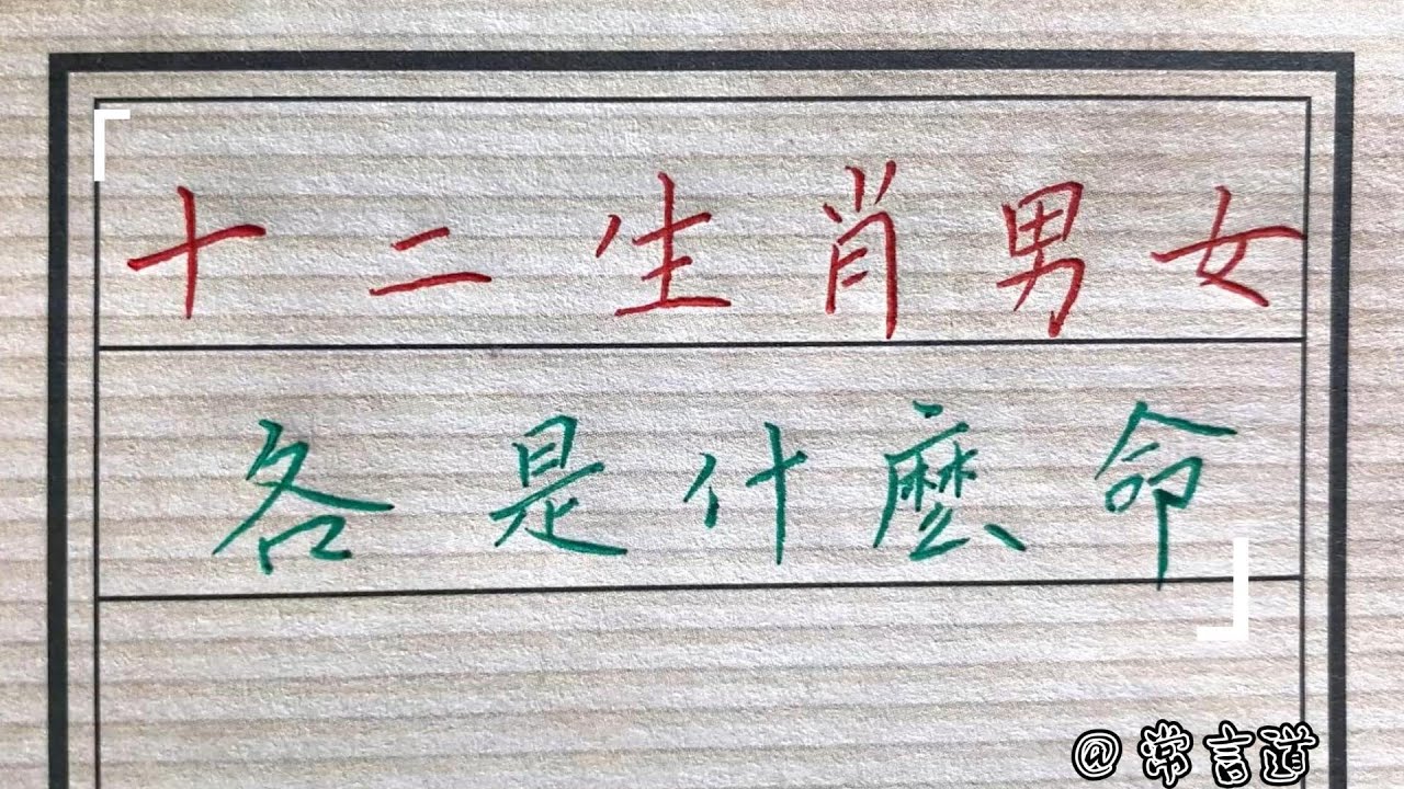 字典解一生肖：文化传承与现代解读