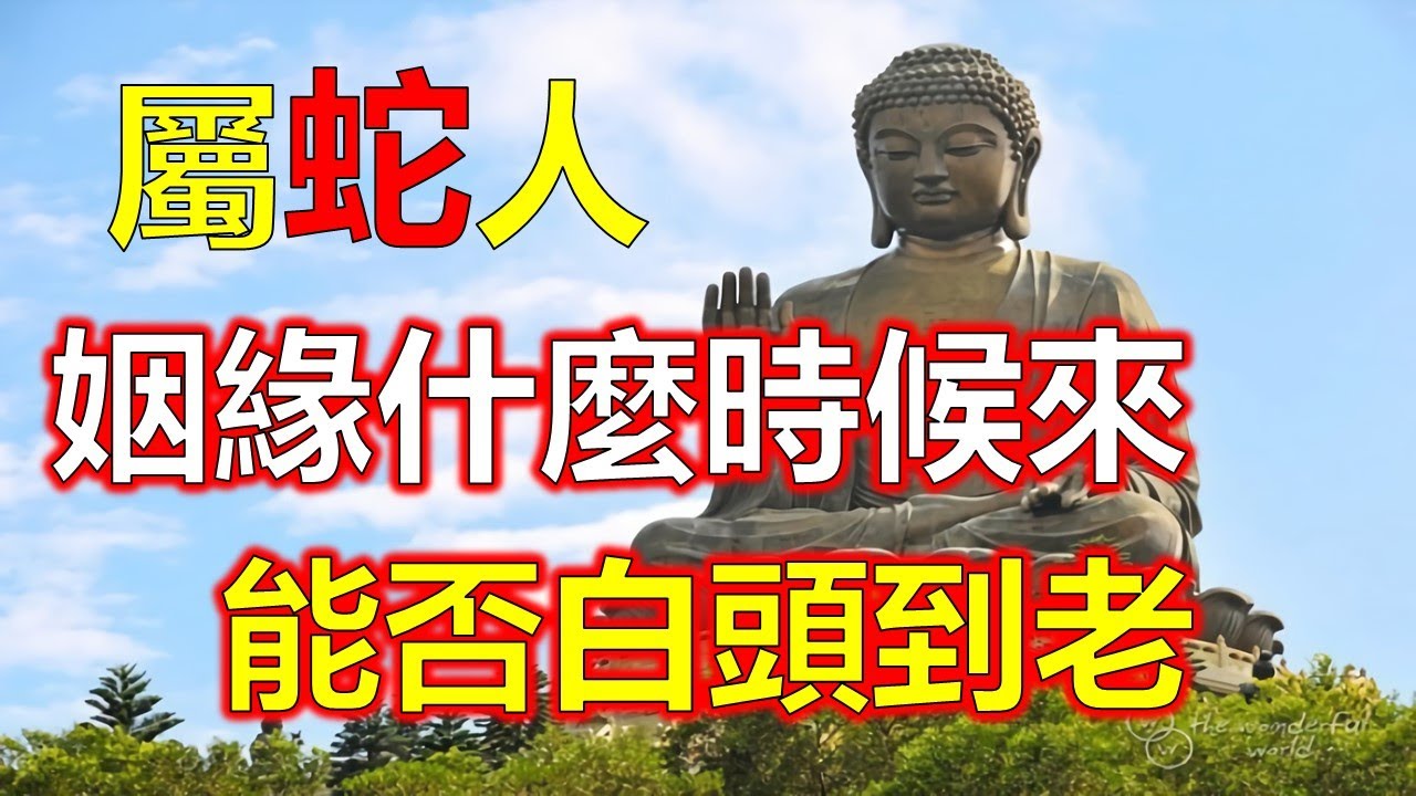 海瑞解一生肖：历史解读与现代启示——探秘清官廉吏与生肖文化交汇