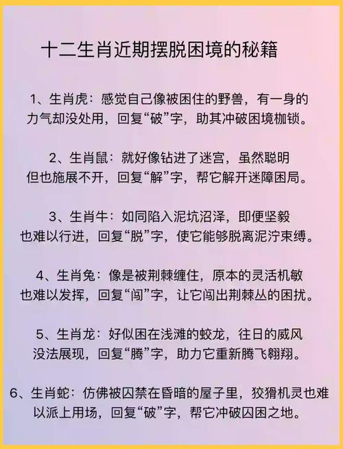 而今而白小姐打一生肖：生肖预测的解读与分析