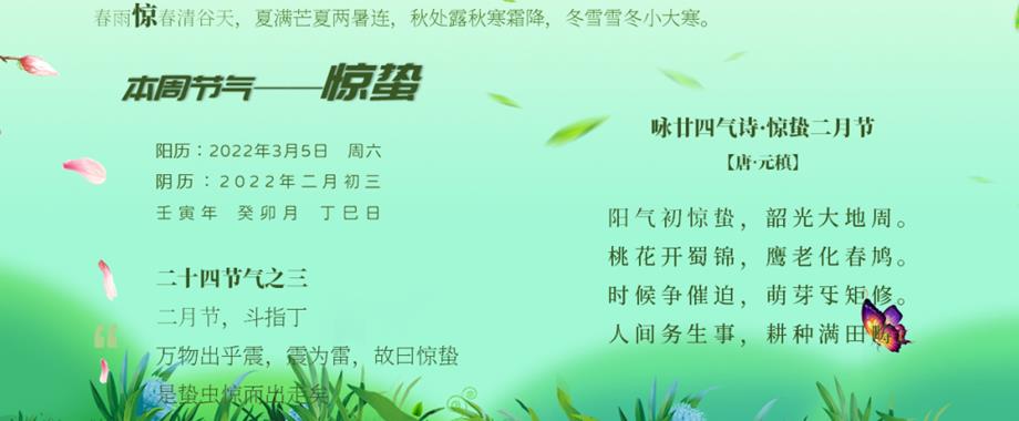 收徒白小姐打一生肖：解谜生肖背后的文化密码与潜在风险