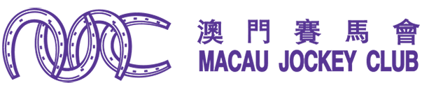 王中王2025年澳门今晚特马预测：深度解析及未来走势