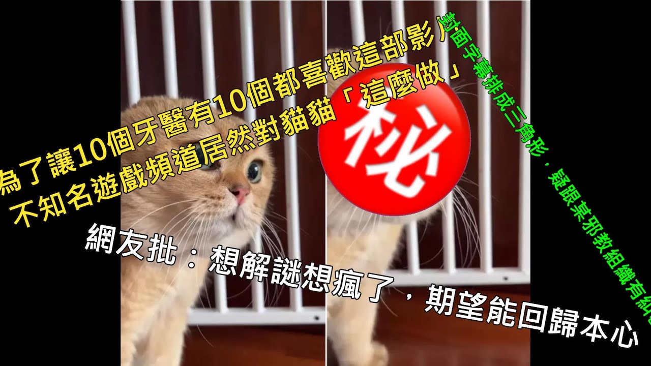 回首球场猜一生肖：生肖文化与体育竞技的巧妙结合