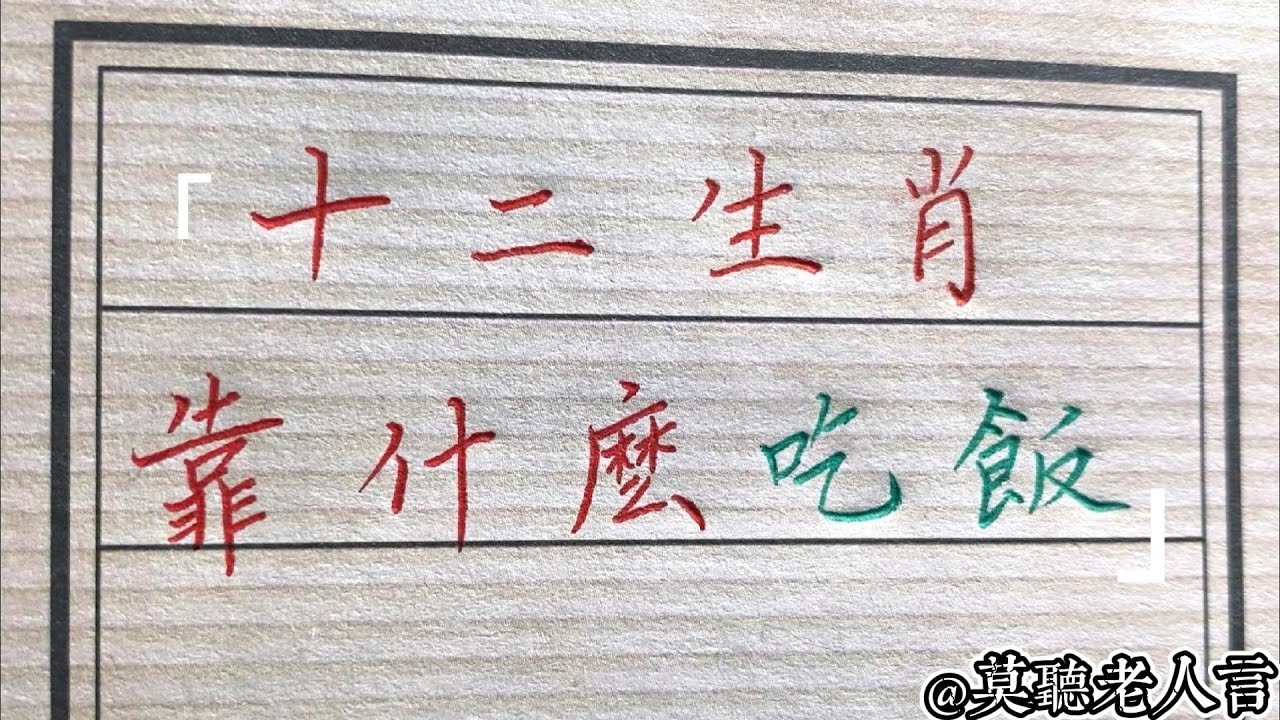 活法无边白小姐打一生肖：深度解析生肖谜题背后的文化与象征