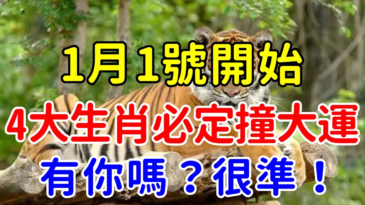 生肖要买第一个猜一肖：深度解析及风险提示