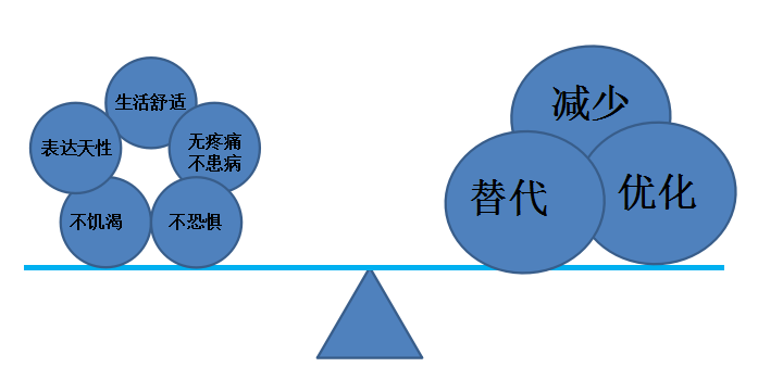 喂养猜一生肖：生肖习性与喂养方式的巧妙结合