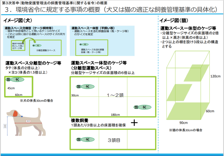 来施展白小姐打一生肖：解谜生肖背后的文化与玄机