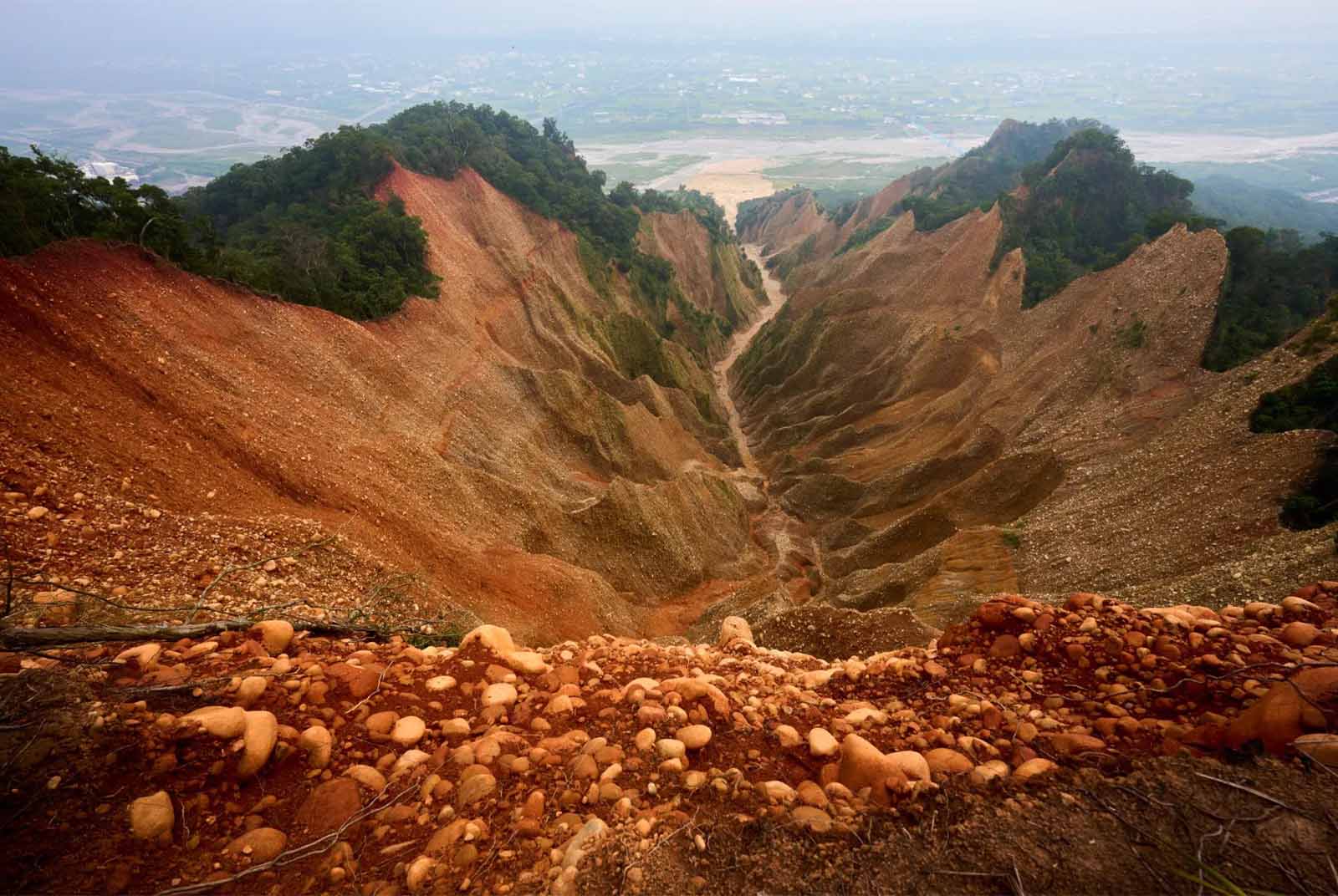 火速下山白小姐打一生肖：深度解析及生肖预测