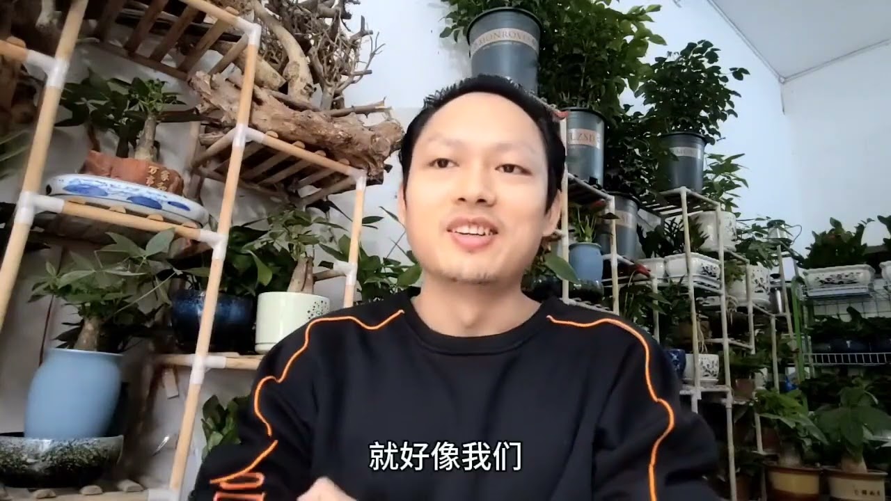 矫时慢物白小姐打一生肖：解密生肖背后的玄机与文化传承