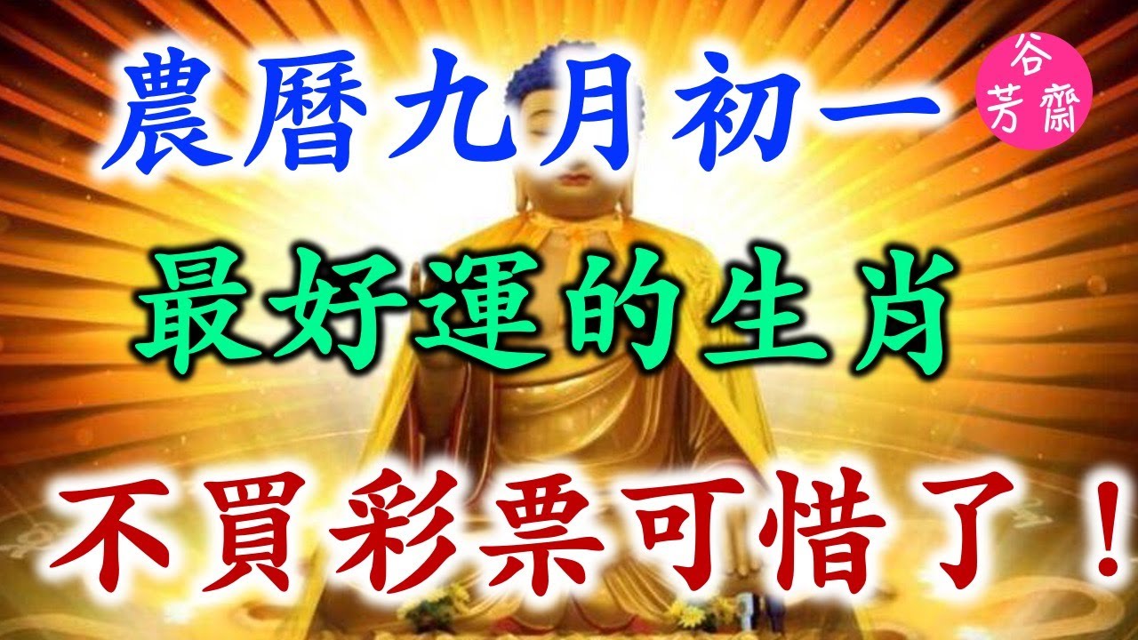 广东好彩一生肖深度解析：走势预测、技巧分享与风险规避