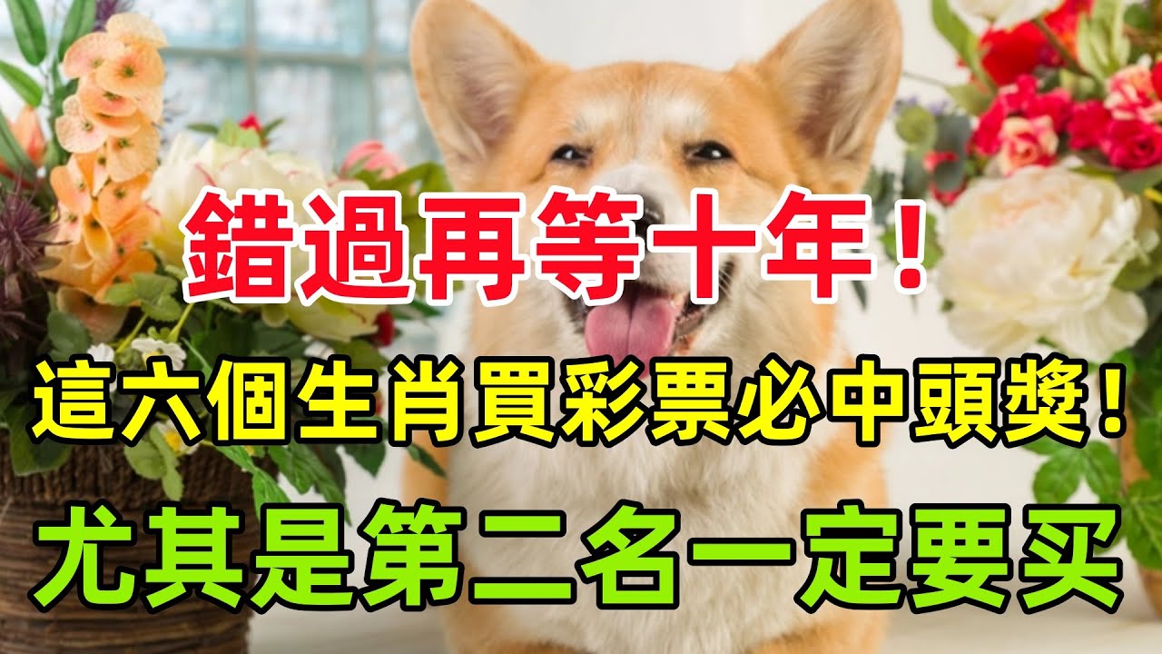 众字猜一生肖：解密生肖谜题，探寻文化密码