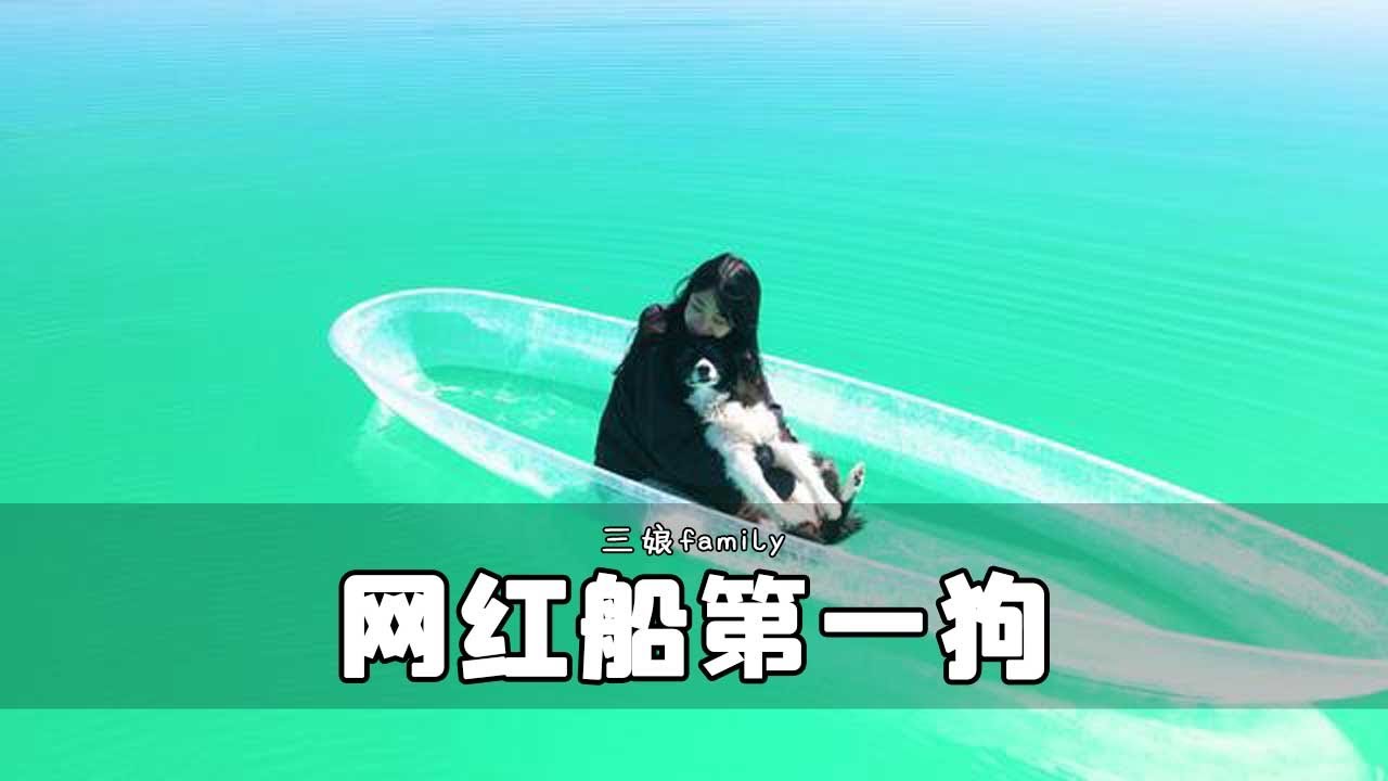 不打架猜一生肖：十二生肖性格与行为解读