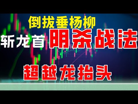 阴肖打一准确生肖：深度解析生肖谜题背后的文化与逻辑