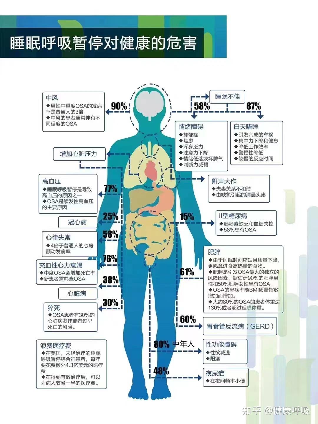 打鼾猜一生肖：从民俗到科学的解读与生肖性格分析