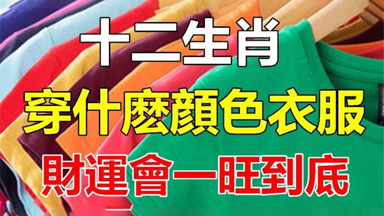 趣味解谜：脏衣服竟暗藏生肖玄机？深度解析生肖与生活习性的关联