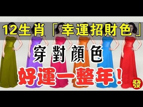 买粉笔猜一生肖：趣味游戏背后的生肖文化与民俗解读