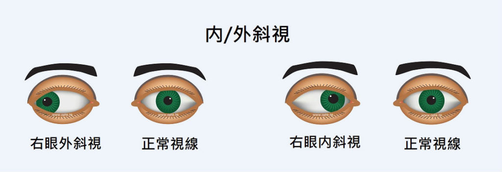 目不斜视一生肖：十二生肖性格深度解析及职场运势预测