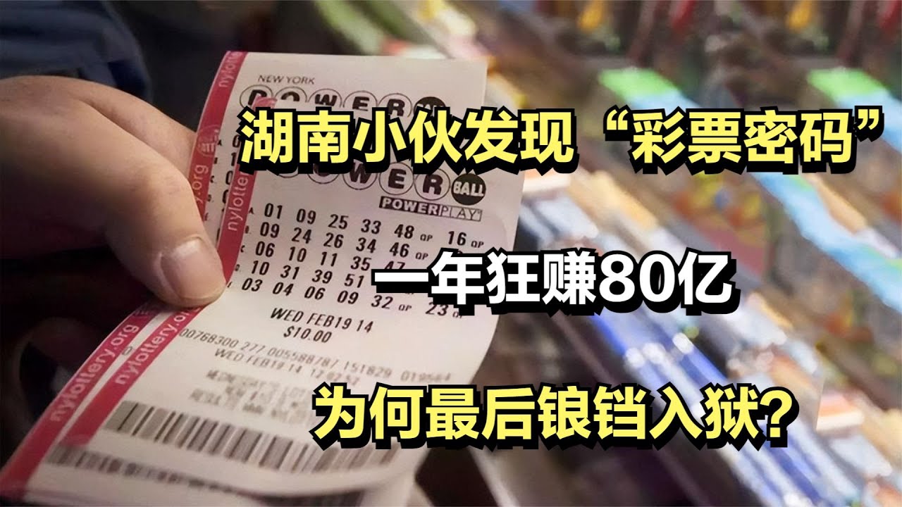 揭秘新澳管家婆一肖一码100中奖技巧：策略、风险与未来展望