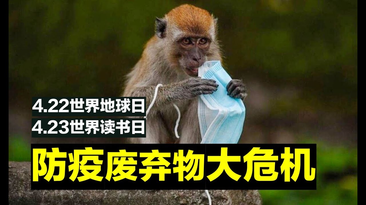 前功尽弃是哪一生肖？从生肖性格与运势角度深度解析