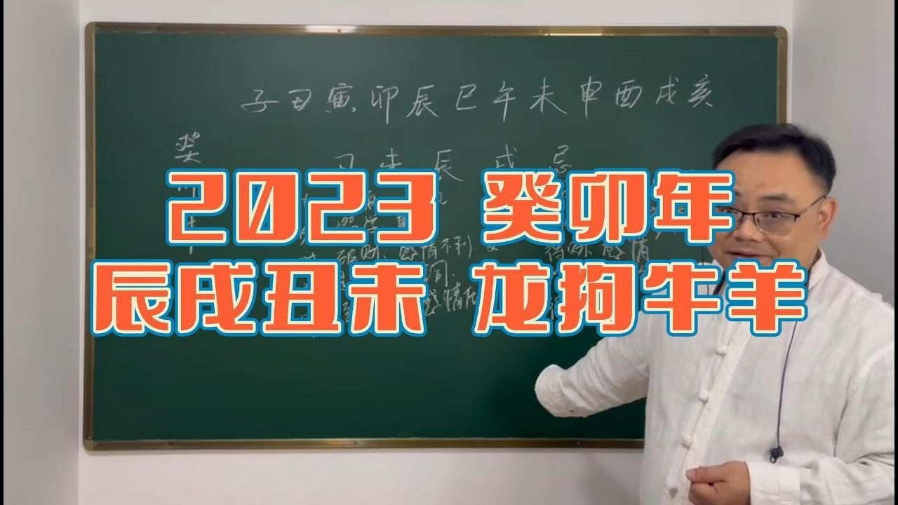 黯然神情白小姐打一生肖：生肖解析及文化解读