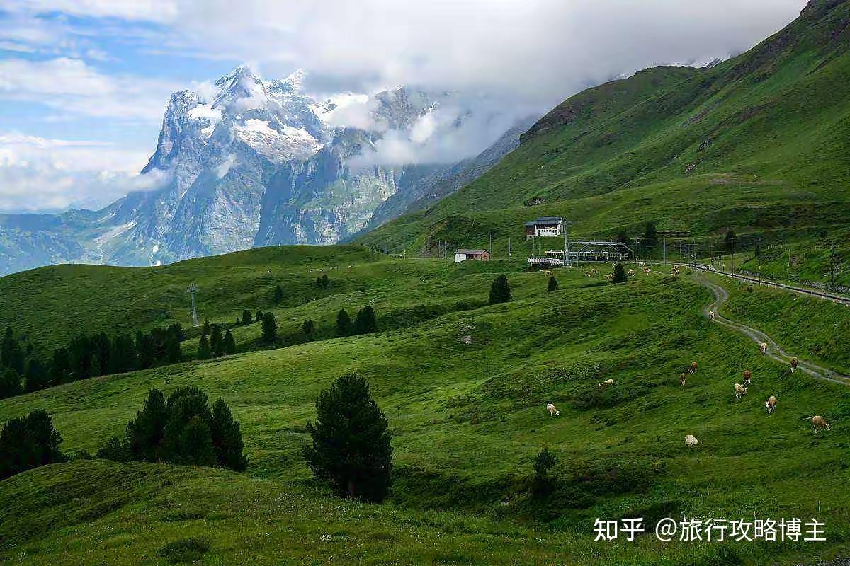 旅游大全猜一生肖：十二生肖与旅游胜地的奇妙关联