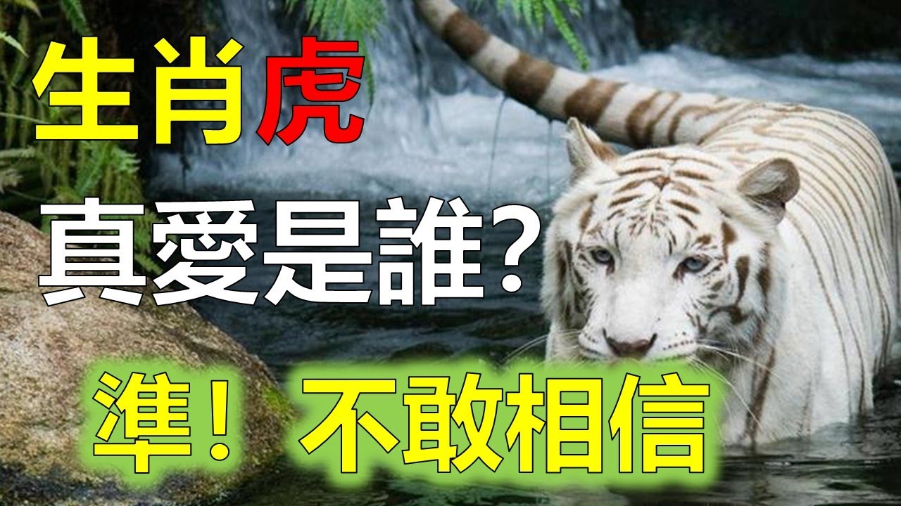 不检点猜一生肖：十二生肖性格与行为分析