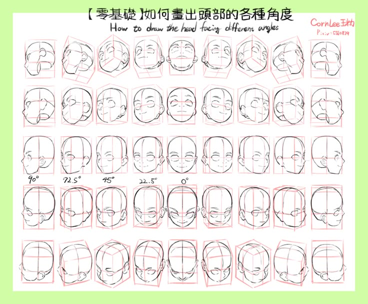 播食白小姐打一生狗：从汉字秘词到天然秘词的分析