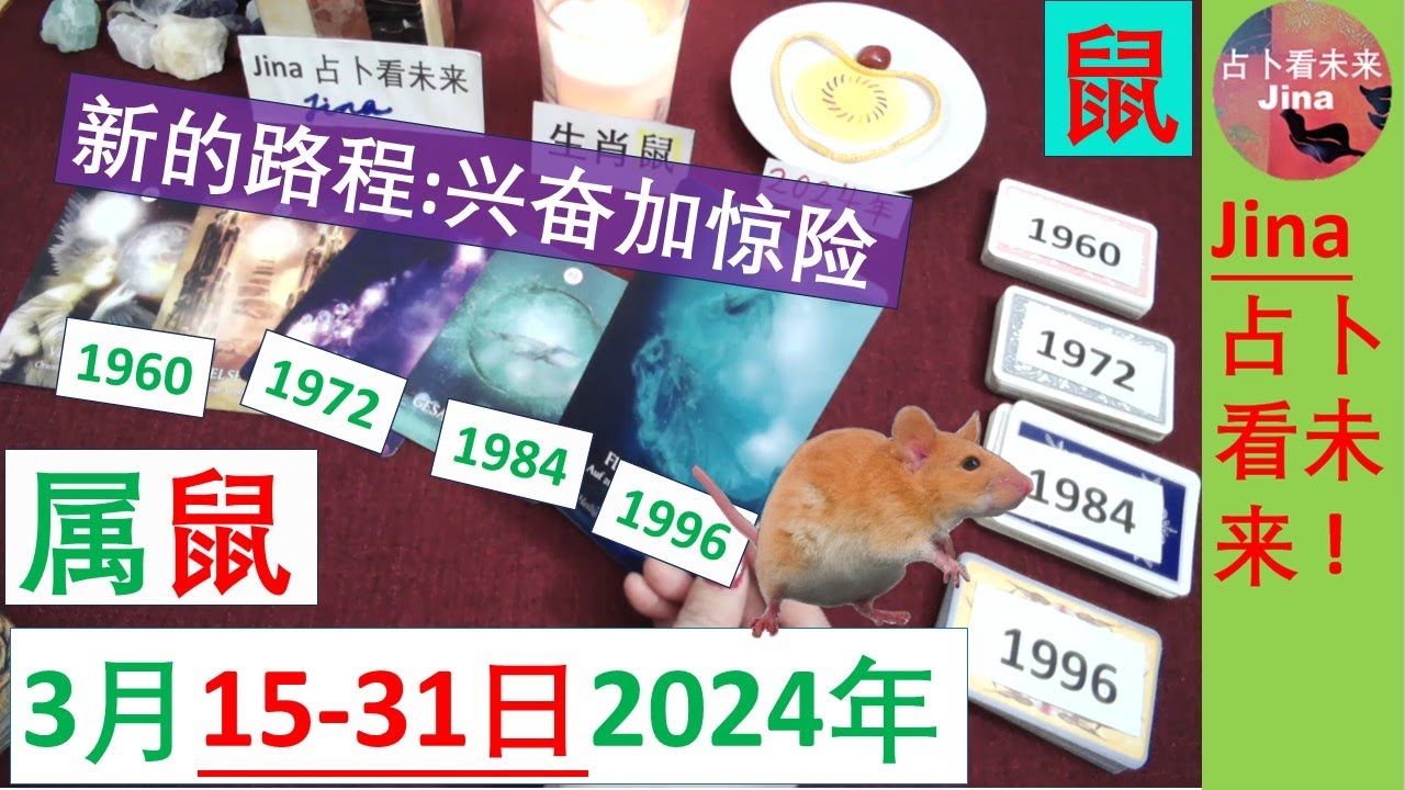 老马猜一生肖：解密生肖预测的奥秘与挑战