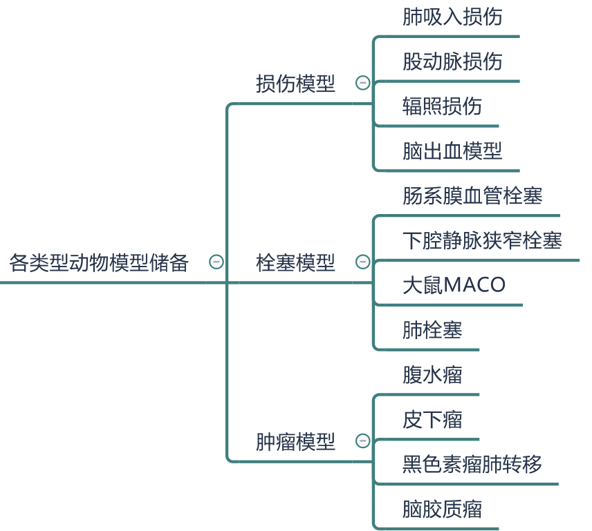 生肖计划溪澳门红姐论坛深度解析：风险与机遇并存的预测世界