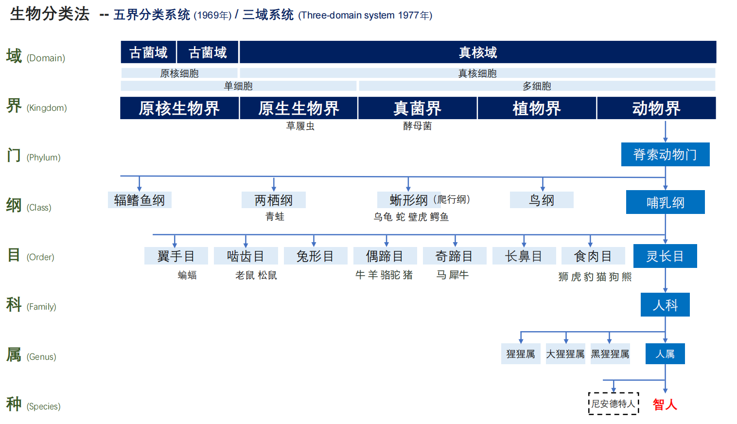 帝友身边一幼姦白小姐打一生生者：从文学品牌到民间传说的分析