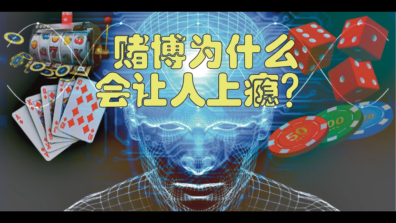 香港最准澳门六开彩天天免费资料大全：揭秘资料获取途径及风险提示