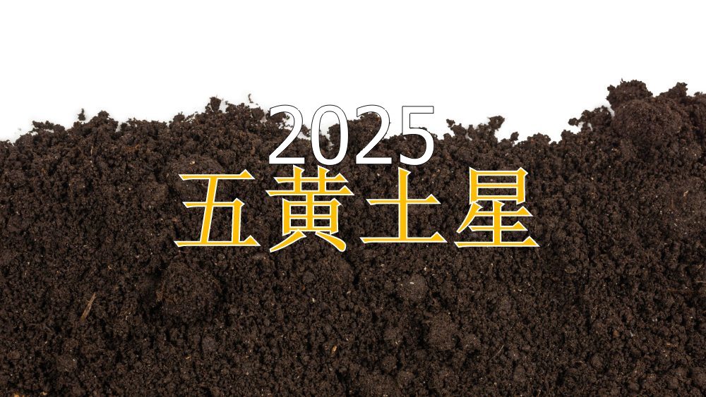 澳门精选2025澳门传真资料深度解析：信息价值、风险及未来趋势