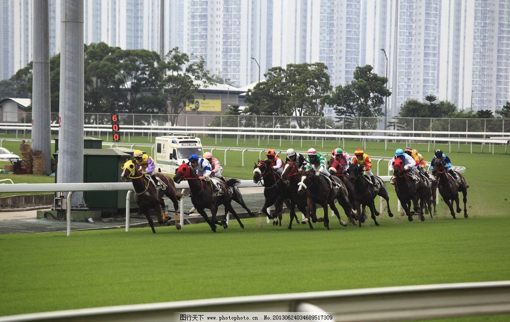 49一肖推荐查一肖一码香港网站深度解析：风险、机遇与未来趋势