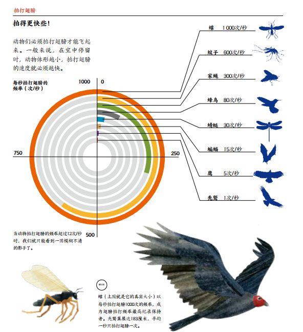 49一肖推荐摆设打一肖动物：深度解析及未来趋势预测