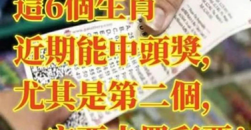 49一肖推荐管家波一肖：深度解析及风险提示