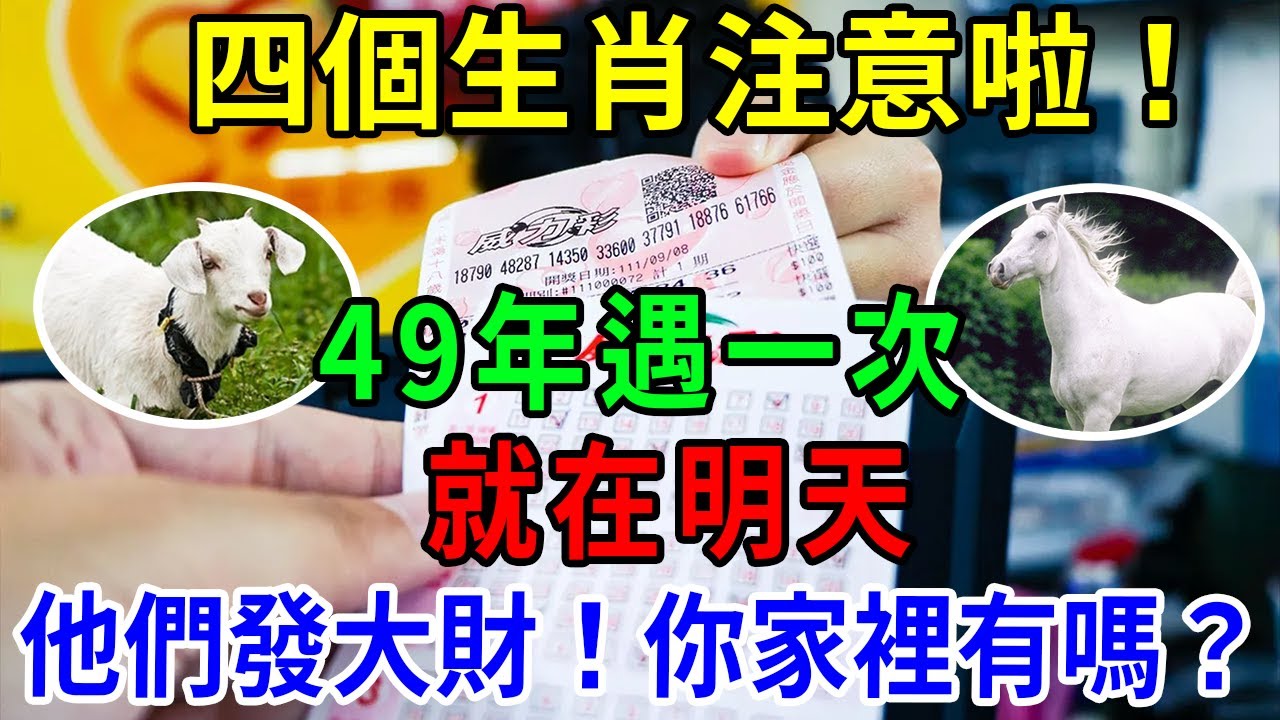 49一肖推荐：女肖动物对应生肖及分析，精准预测技巧详解