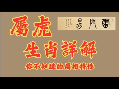 49一肖推荐：解读‘不悠闲的动物’背后的玄机与生肖预测