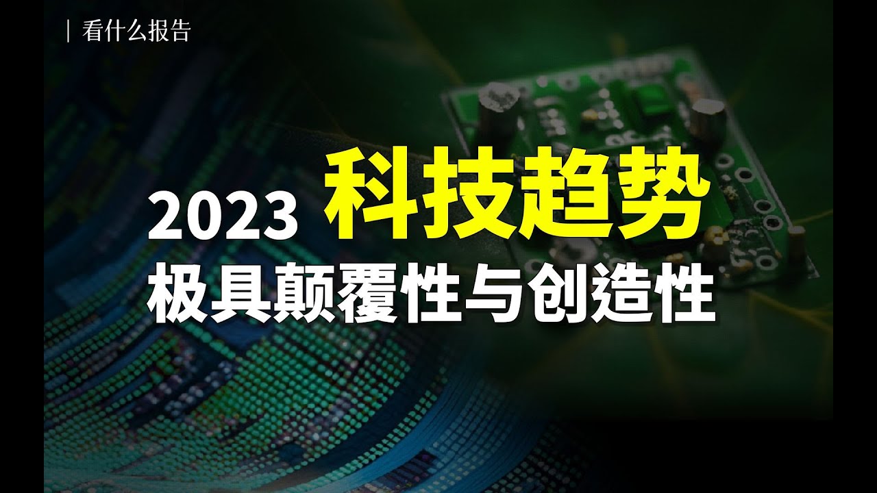 尺子拆解白小姐的秘诀：从数字码解到生者的探索