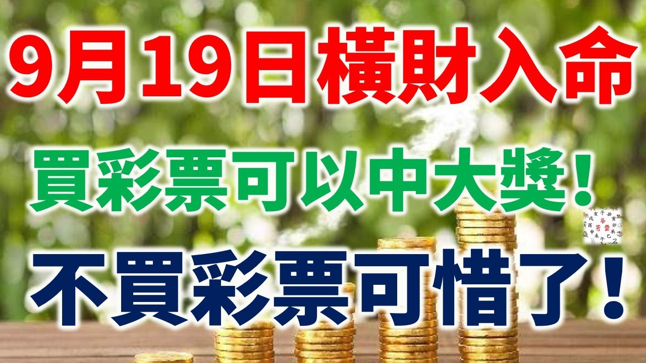 49一肖推荐：属狗兔鸡中本期解一生肖，精准预测及风险分析