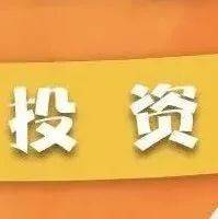 49一肖推荐今期富婆一肖一特：深度解析及风险提示