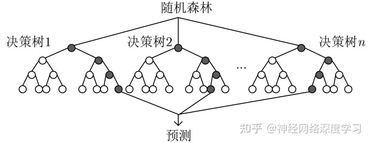 49一肖推荐：最可爱的动物竟是它？揭秘生肖背后的趣味玄机