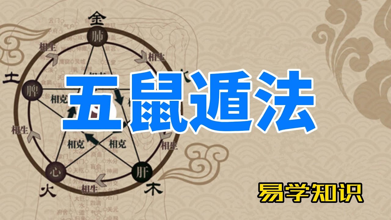 49一肖推荐：梧鼠五技巧妙比喻生肖，深度解析及预测