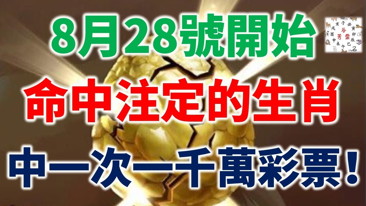 49一肖推荐：二八两天彩头揭秘及一生肖预测，深度解析及风险提示