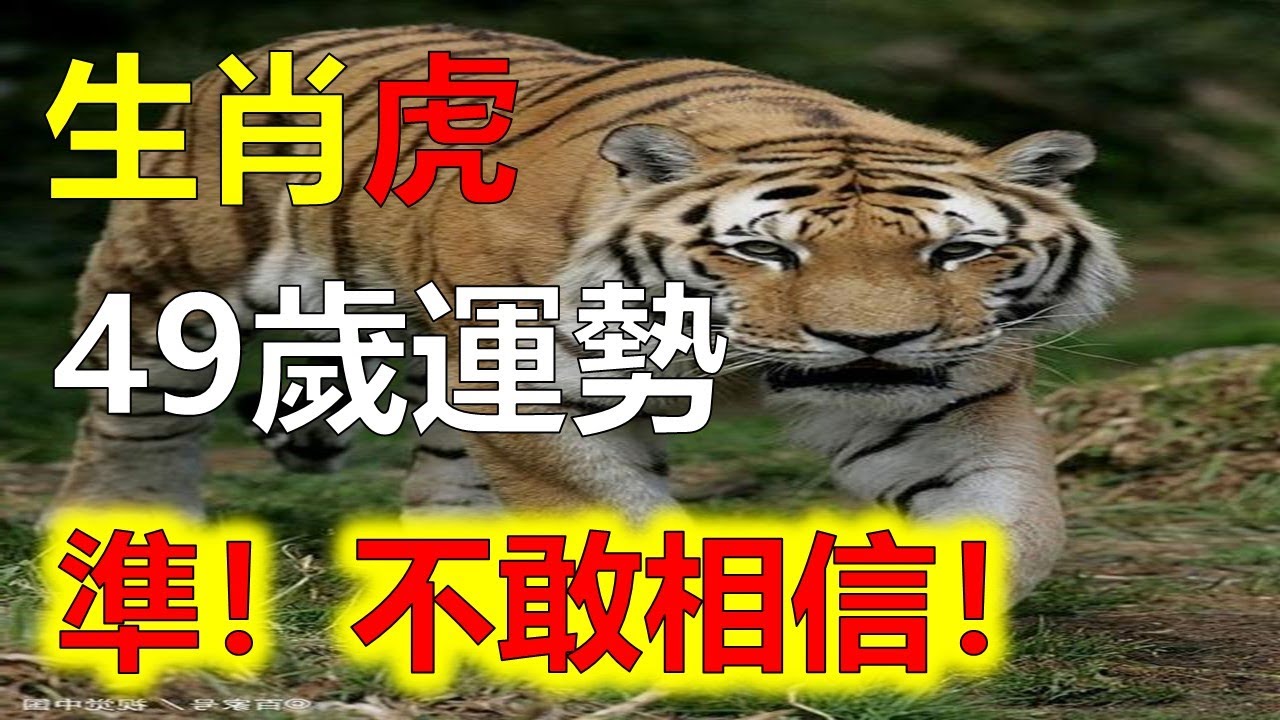 49一肖推荐：象征进取精神的动物，猜一生肖！