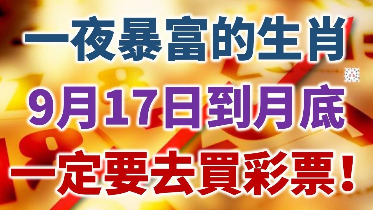 49一肖推荐帐字查一肖：深度解析及风险提示