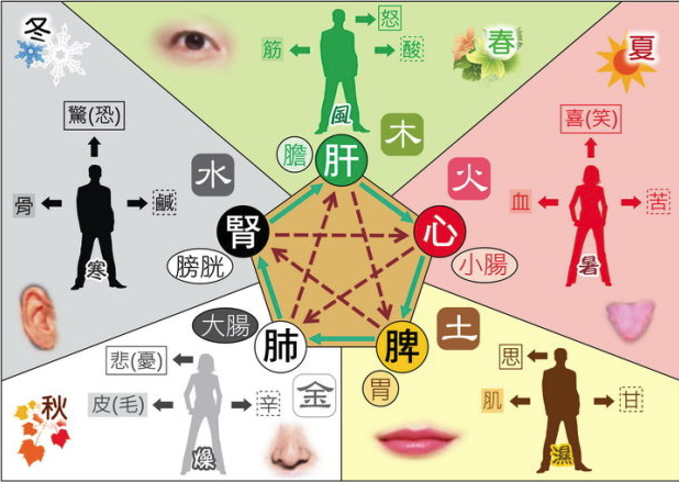 49一肖推荐胃打一肖动物深度解析：从数字到生肖的巧妙关联