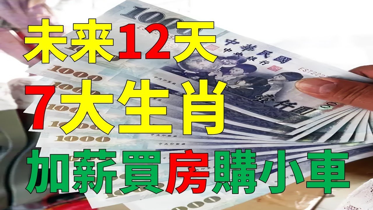 49一肖推荐三四拼合出财富打一生肖：深度解析及未来展望